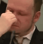 breivik-crying.gif