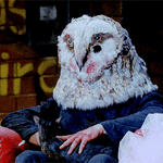 tumblr_ojw1tsa4gq1tow3s0o3_400.gif
