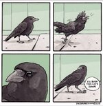 one-of-my-favorite-ig-artists-falseknees-uses-crows-in-his-v0-jsg1dFTQxqPX8KV_1UI4auzt4WNe5xm6...jpg