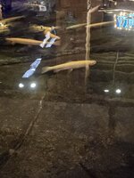 20260423_095011.jpg