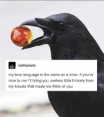673426035_10237767375856313_4877783195074068038_n.png