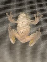 IMG_0907.jpeg