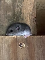 IMG_0910.jpeg