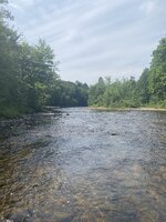 IMG_0914.jpeg