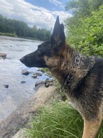 IMG_0915.jpeg