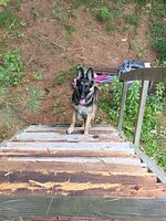 IMG_0932.jpeg