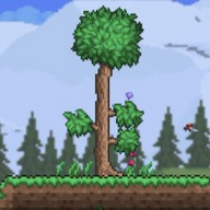 Terraria Tree