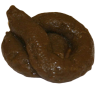 BigDookie