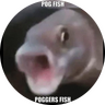 ironbrid3