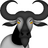 WallyBuffalo8888