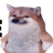 konni