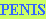 Penis penis penis