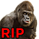 :harambe: