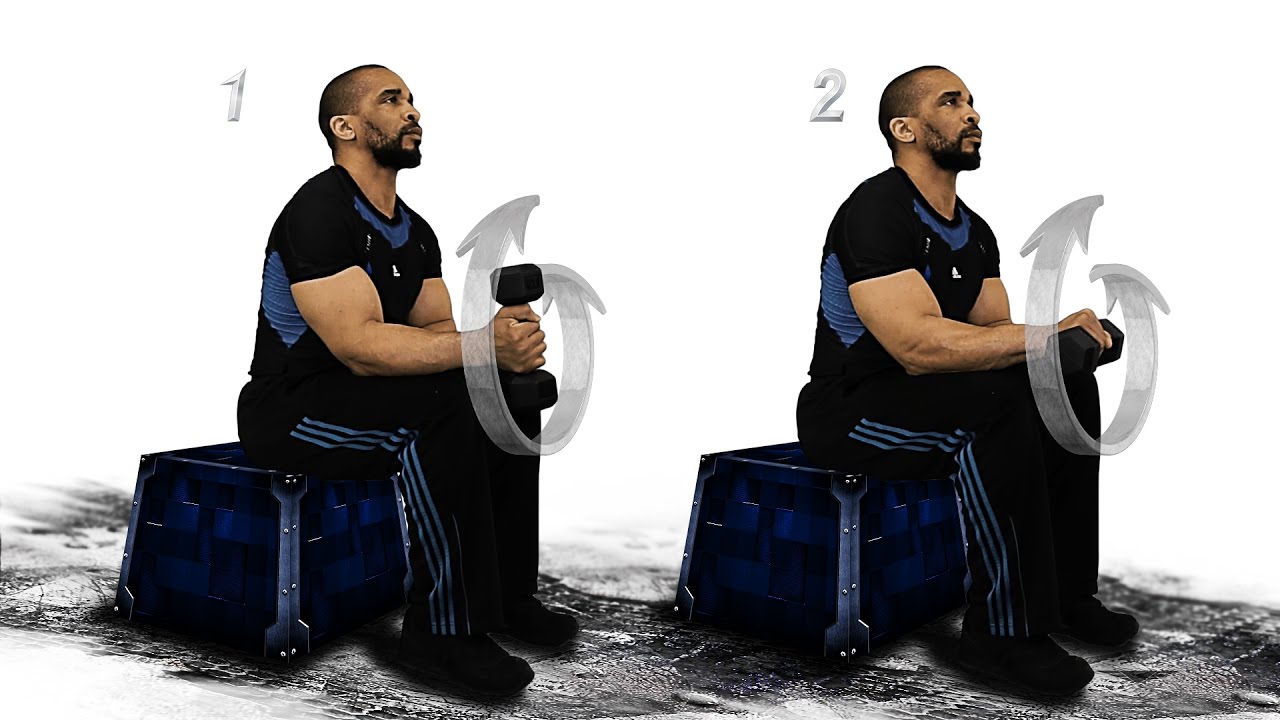 Forearms Wrist Twist 1 Dumbbell Box - YouTube