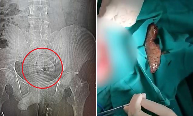 www.dailymail.co.uk
